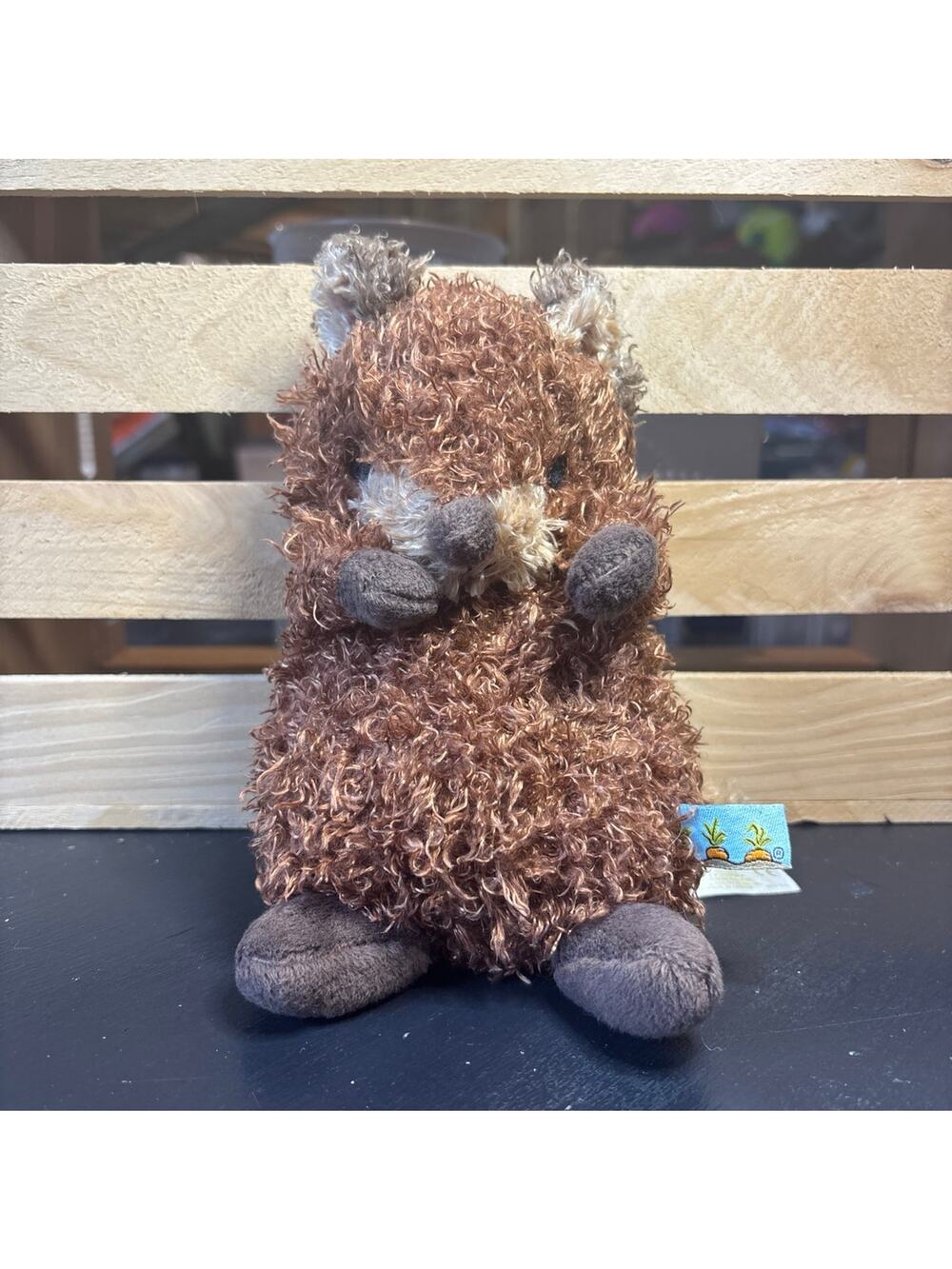Bunnies by the bay wee foxy plush camp cricket 7” tall embroidered details